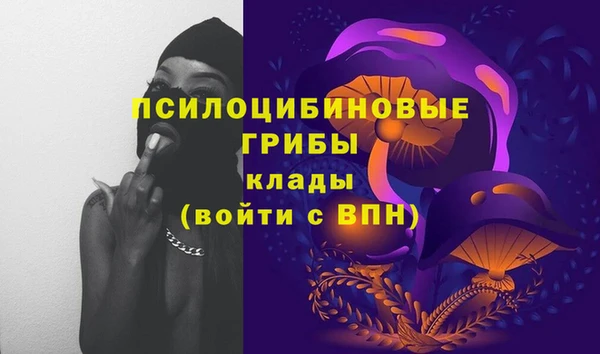 а пвп мука Дмитриев