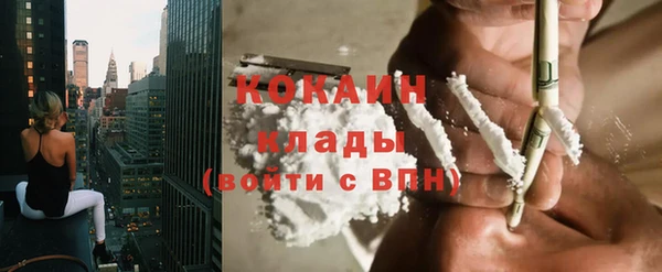 соль ск Дмитровск
