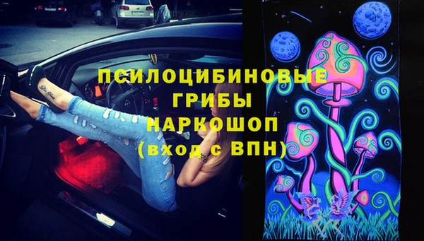 соль ск Дмитровск