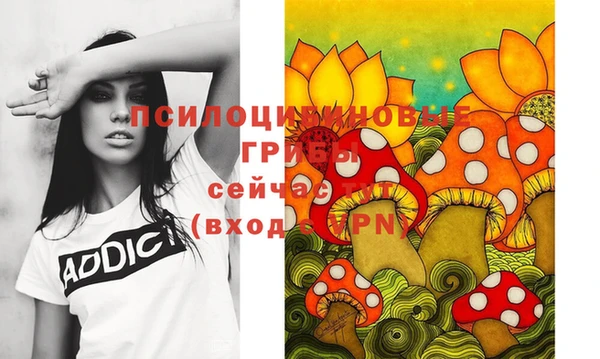 а пвп мука Дмитриев