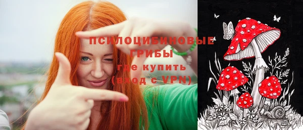а пвп мука Дмитриев