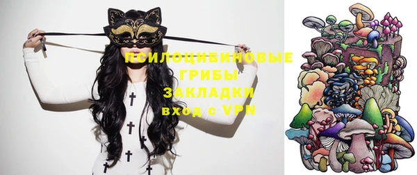 стафф Дмитров
