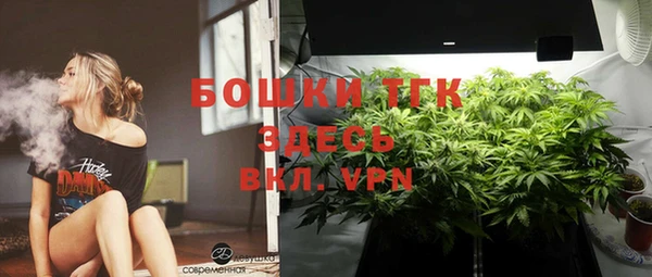 соль ск Дмитровск
